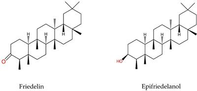 Elicitation enhances the production of friedelin and epifriedelanol in hairy root cultures of Cannabis sativa L.